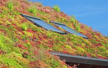 Kilnwick living roof systems